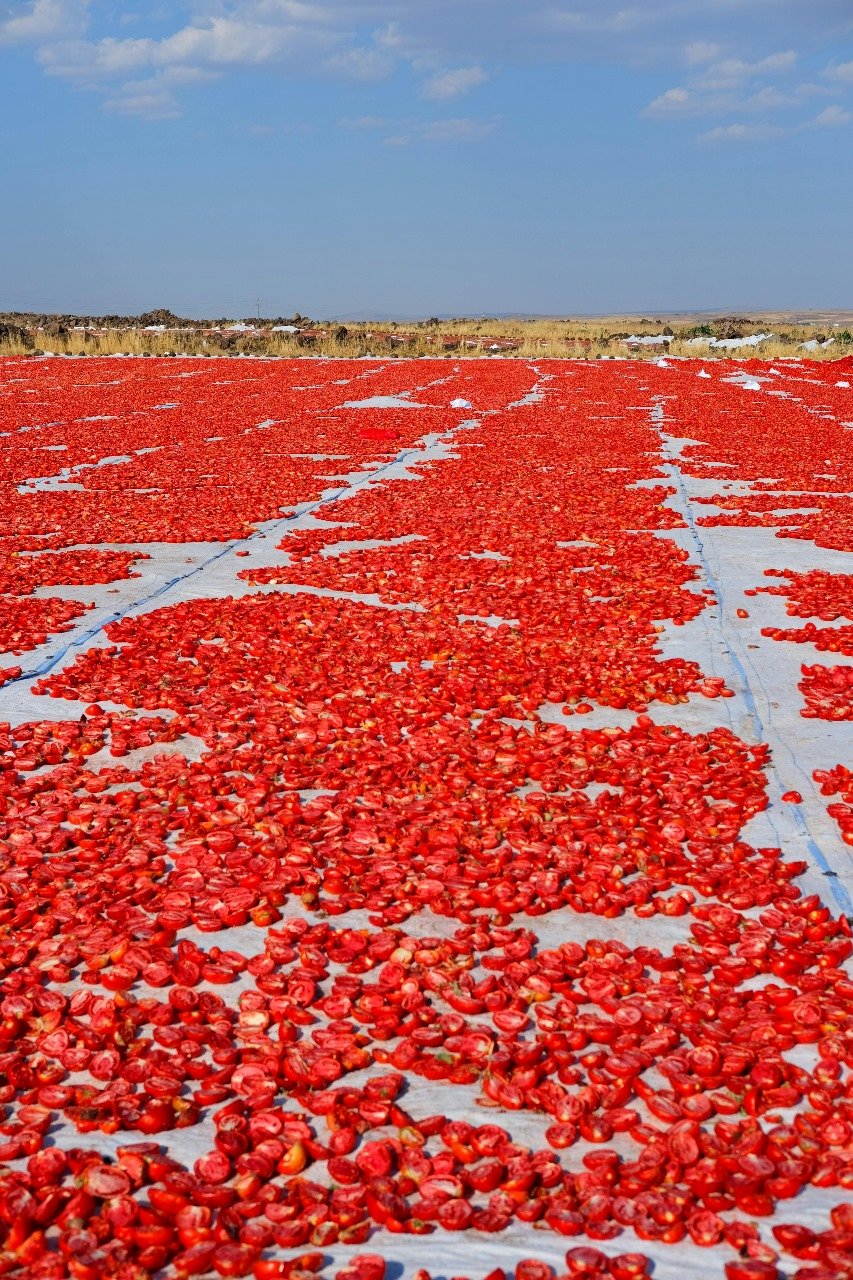 Dehydrated Vegetables